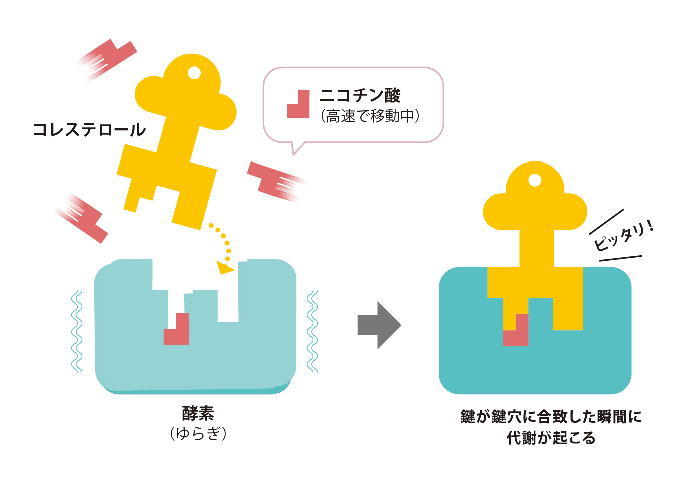 確率的親和力の図