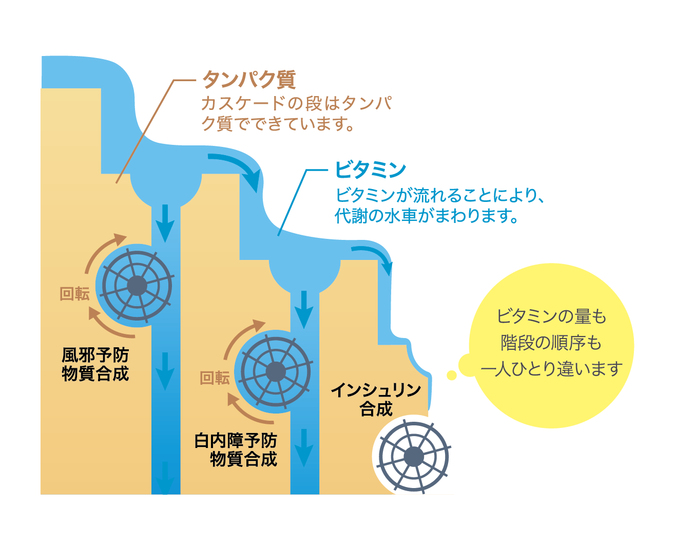 カスケード理論の図