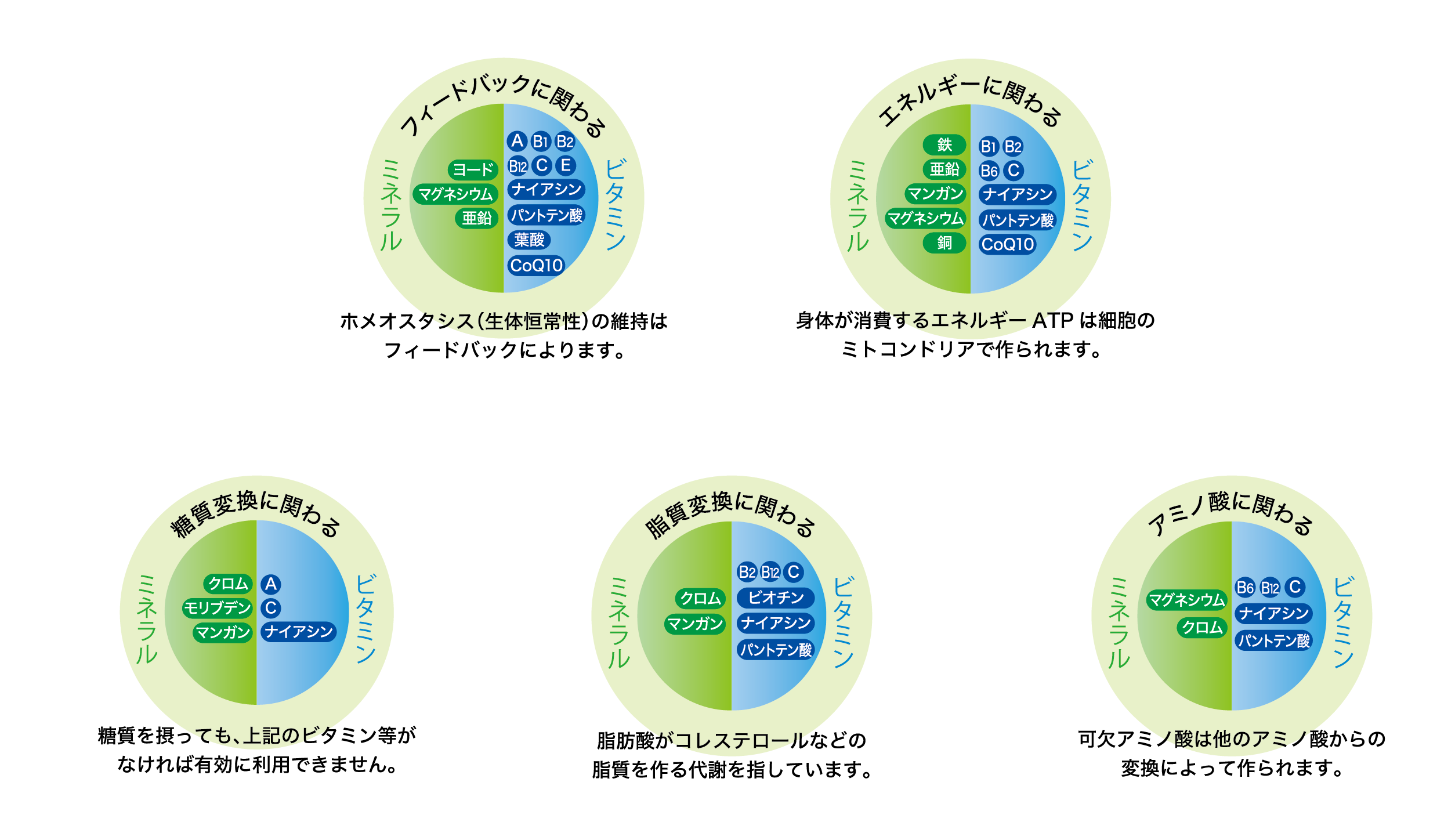 ビタミン・ミネラルの位置づけ